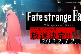 衍生小说《Fate/strange Fake》TV特别动画12月31日放送