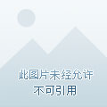 国内首个熊本熊电车专列，12月17日在广州正式发车！