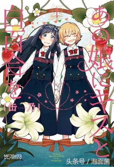 二次元和三次元的献礼，2017日本百合展宣传图公开